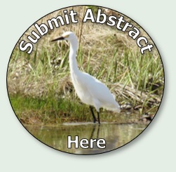 Submit Your Abstract Here