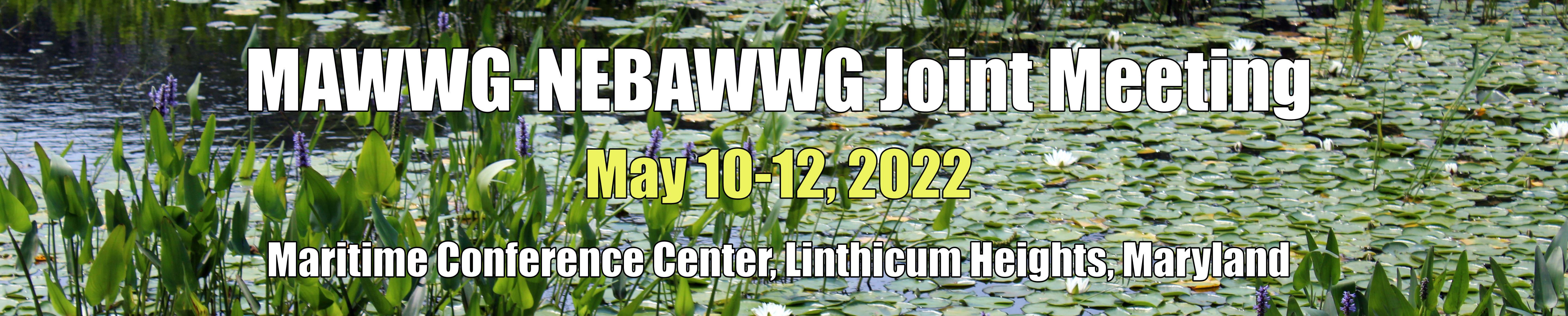 MAWWG-NEBAWWG- Joint Meeting