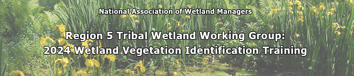 Region 5 Tribal Wetland Working Group: 2024 Wetland Vegetation Identification Training Registration