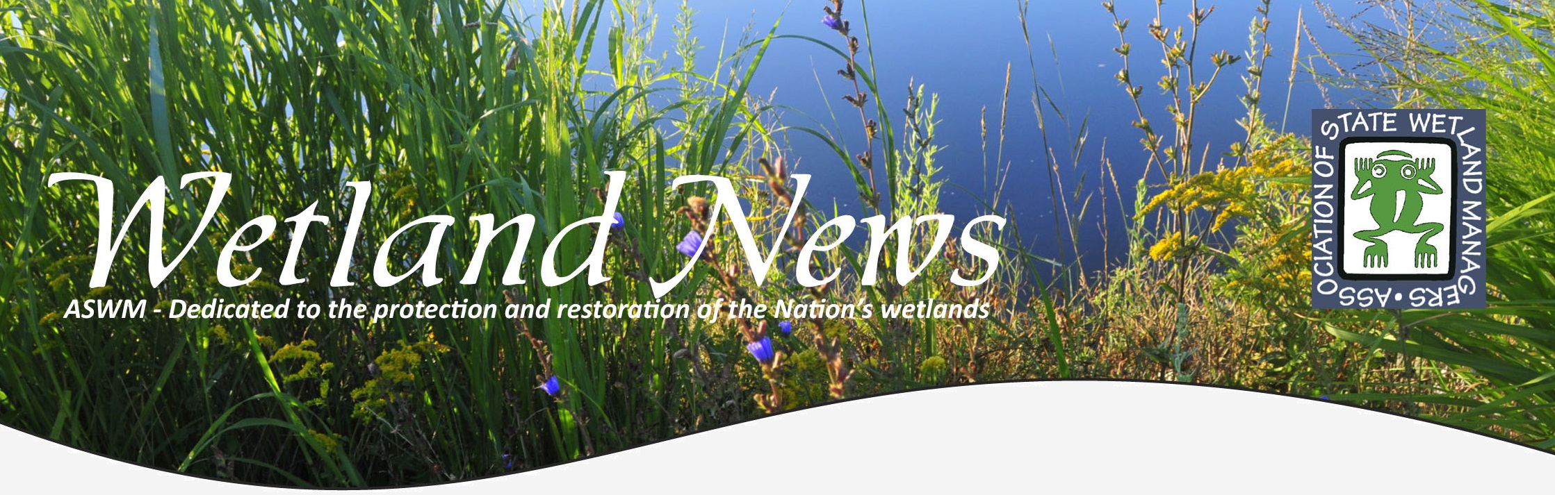 Wetland News
