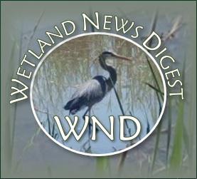 Wetland News Digest