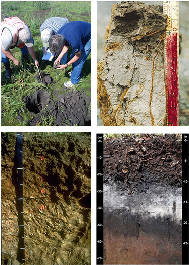 HHydric Soils Training