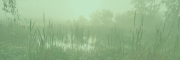 MARSH MENTOR