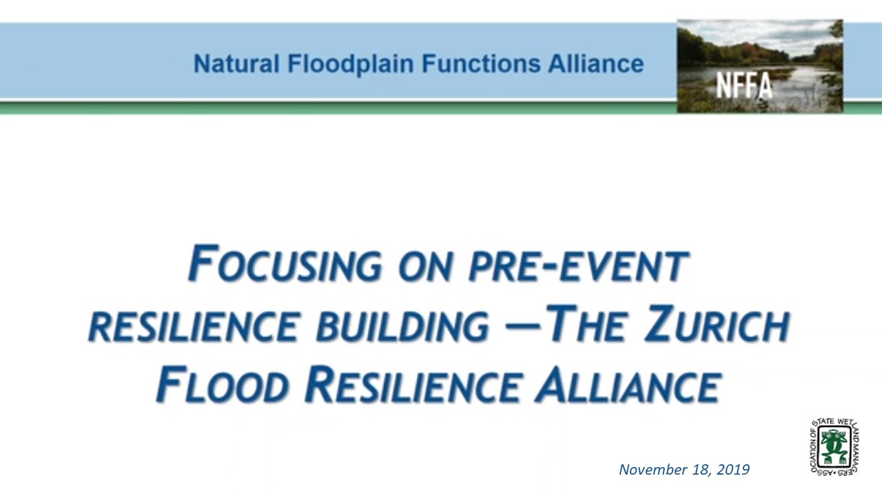 Presenter: Michael Szönyi, MSc, MAS Natural Hazards Management ETH, Flood Resilience Program Lead