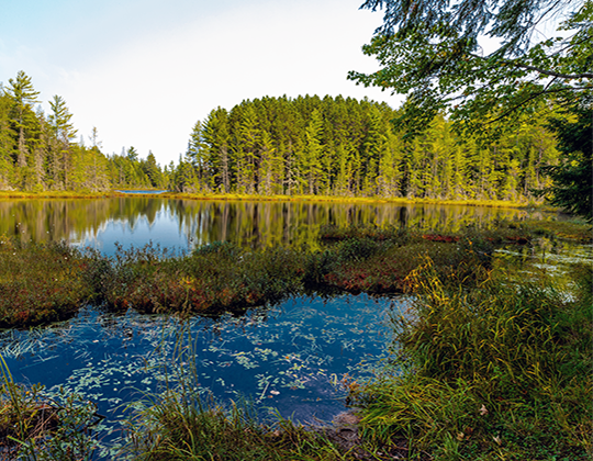 Wetland Functional Assessments