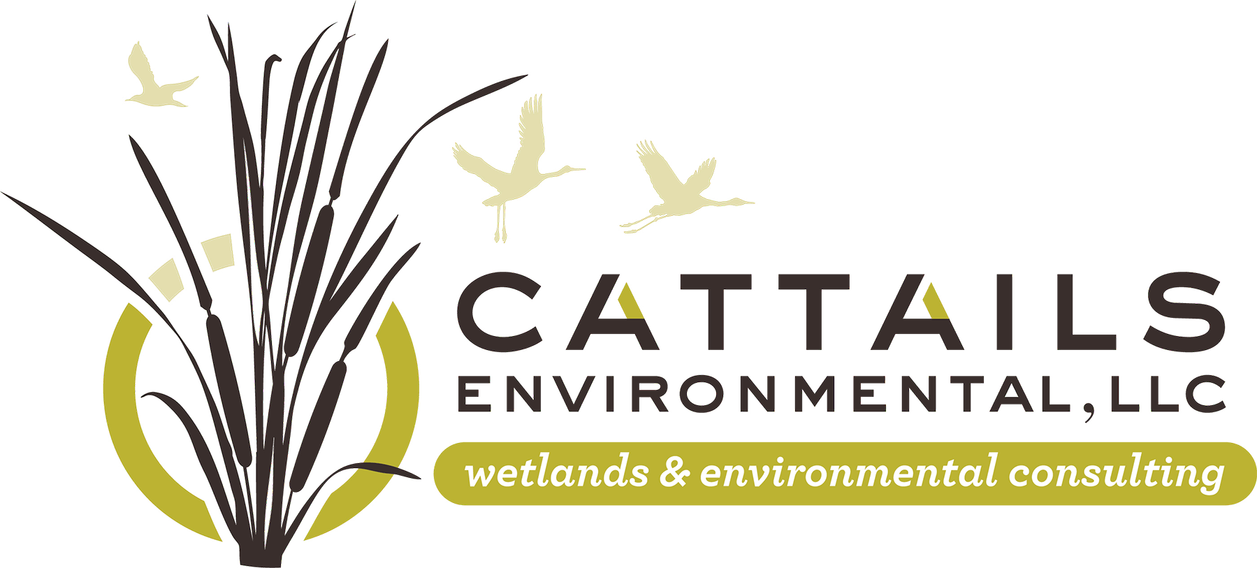 Cattails Environmental
