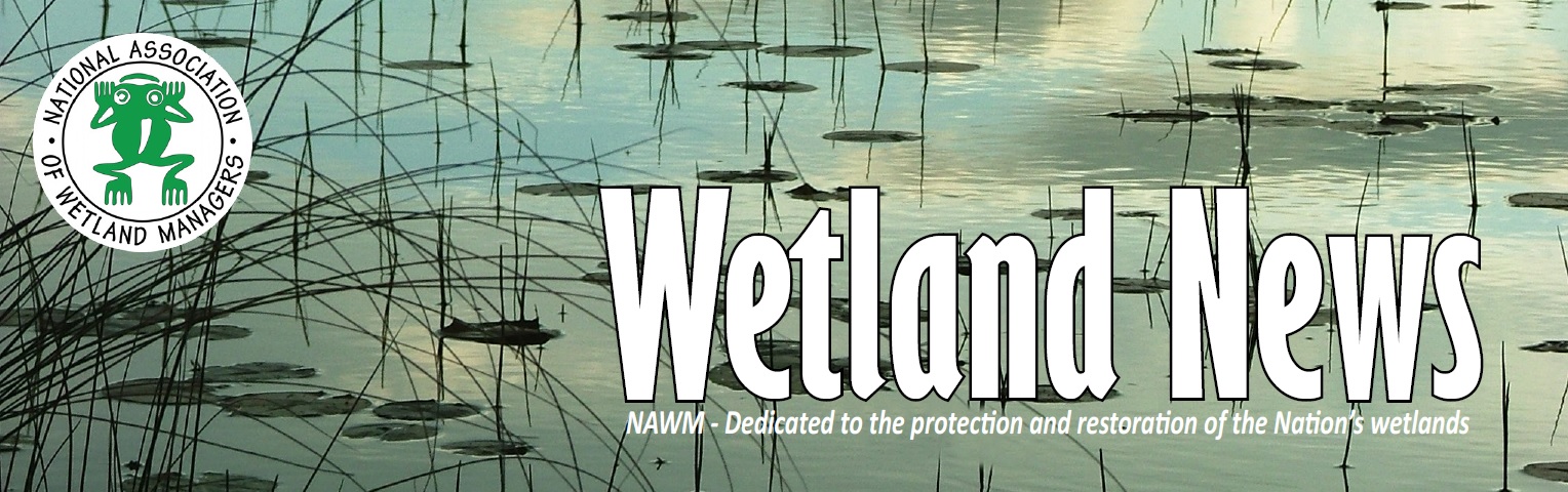 Wetland News